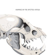 Load image into Gallery viewer, Bone Crusher - Wit Beer - Darling Brew