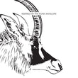 Load image into Gallery viewer, Gypsy Mask - Native Ale - Darling Brew